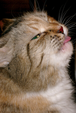 ...Я вся такая противоречивая и загадочная...