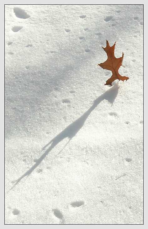 Winter on Harmony Hill