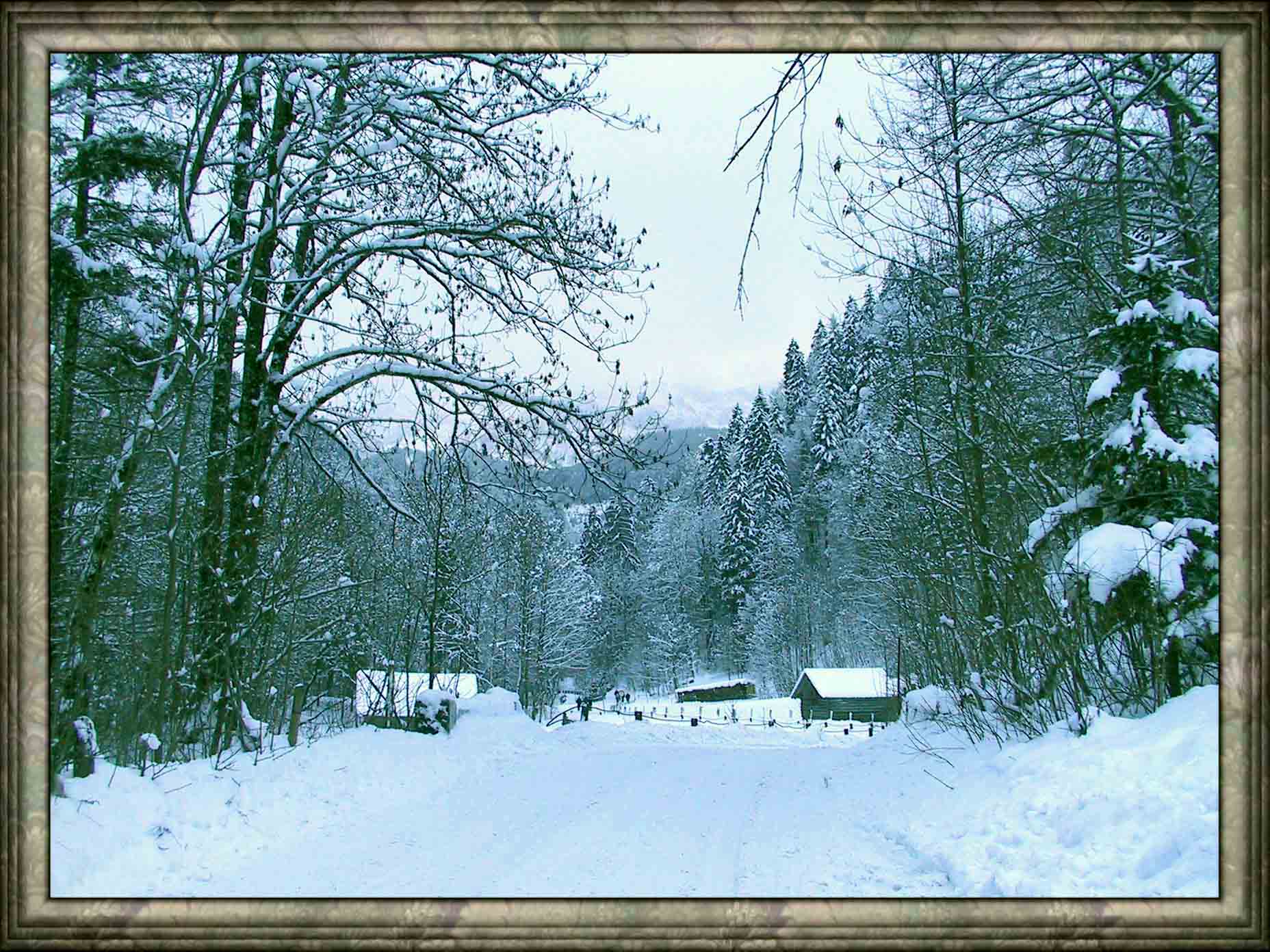 Зимняя дорога.