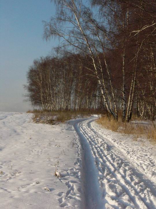 зимой