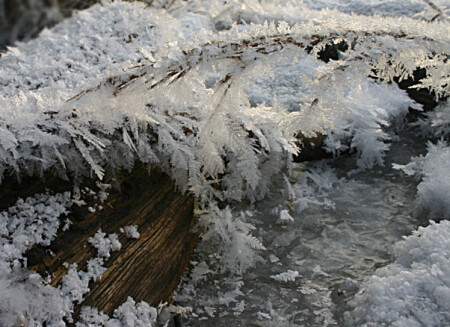 Ледяные перышки