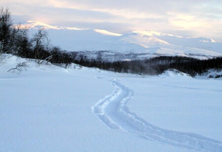 В горах Швеции
