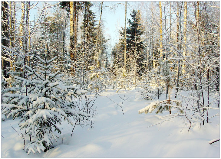 -33. Звенящая тишина.