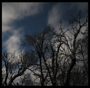 Ночная сказка Домбая