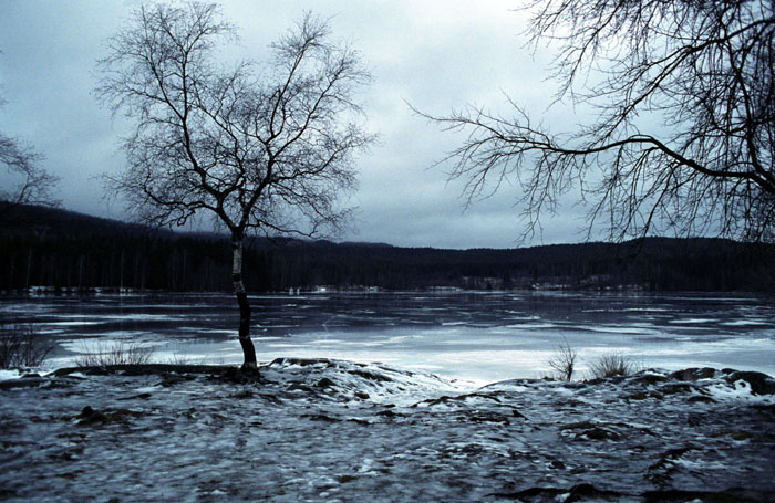 Декабрь.