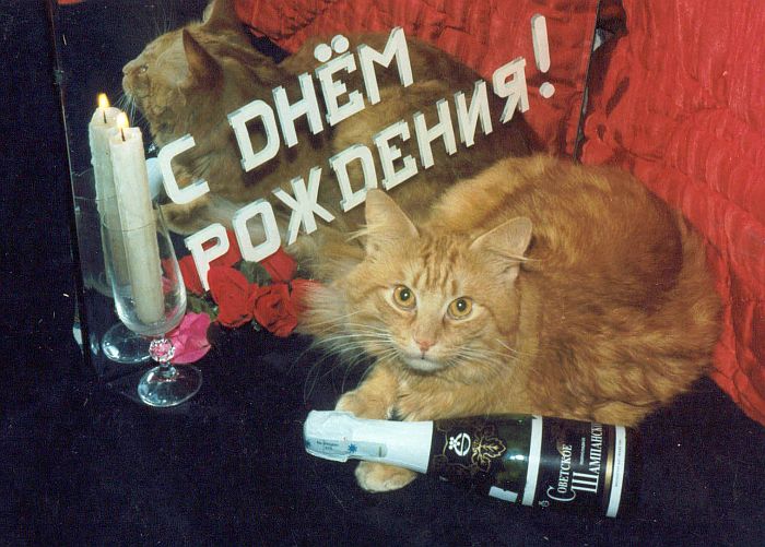 С днем рождения 2