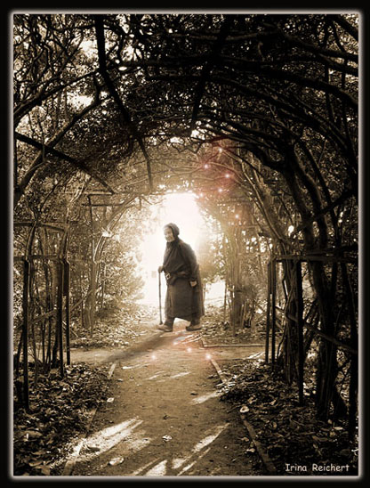 MAgic Gates
