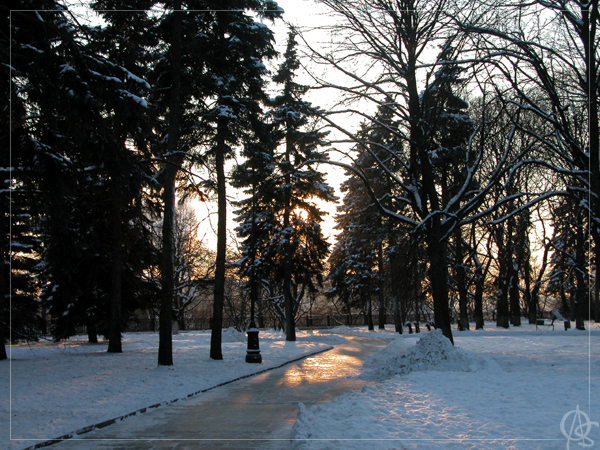 Дорожка в парке