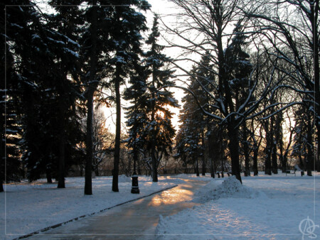 Дорожка в парке