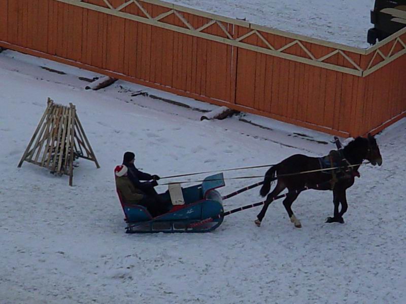 Гужевой транспорт