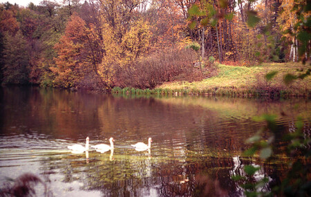 Осенний этюд-8