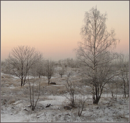-15