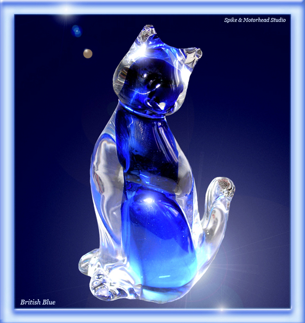 ''British Blue''