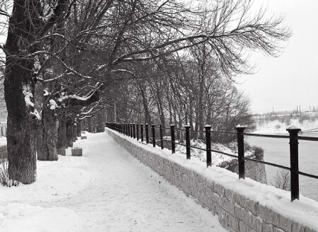 Темный сад, Нарва