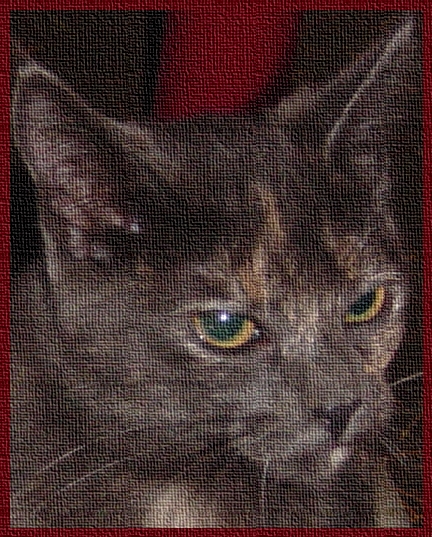 Кот в мешке