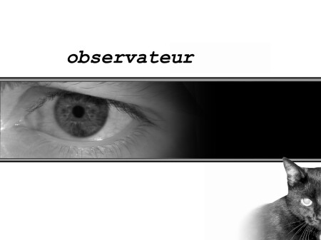 observateur