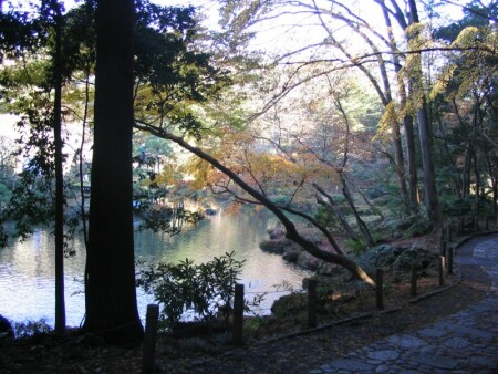 Zimniy park