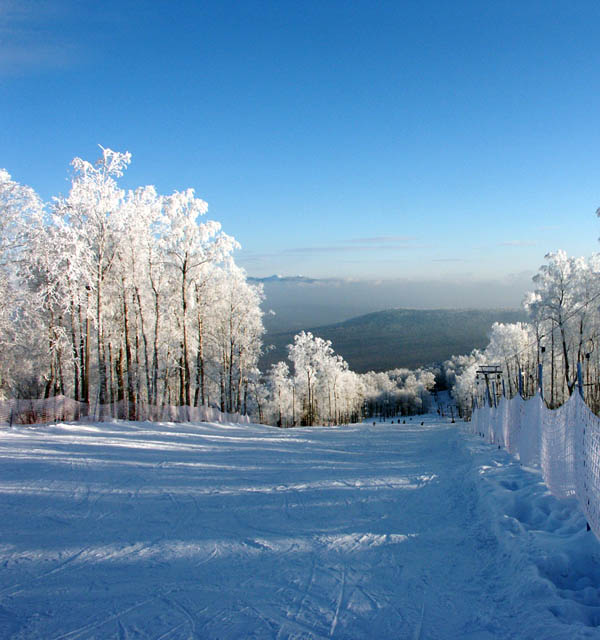 Зеленая трасса