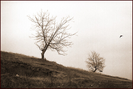 Пейзажная...