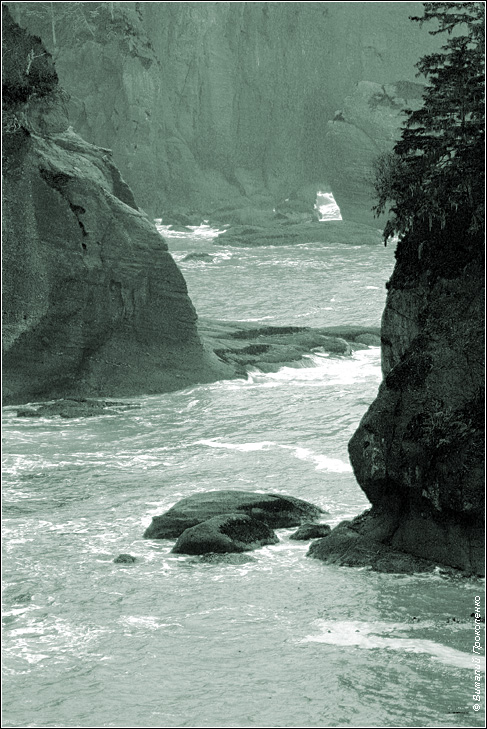 Монохромный мир. Cape Flattery (2)
