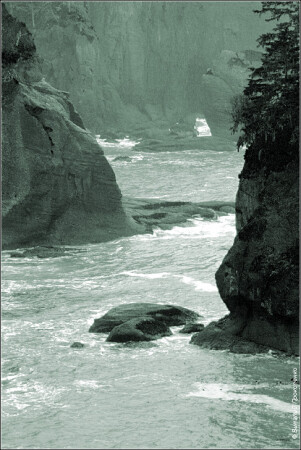 Монохромный мир. Cape Flattery (2)