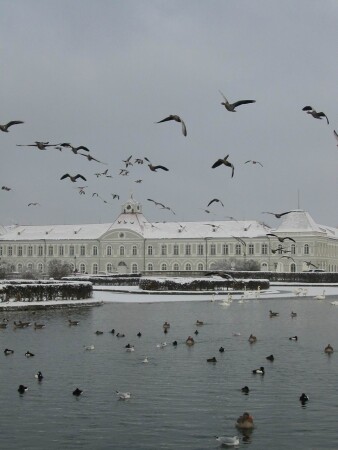 Птичий рай
