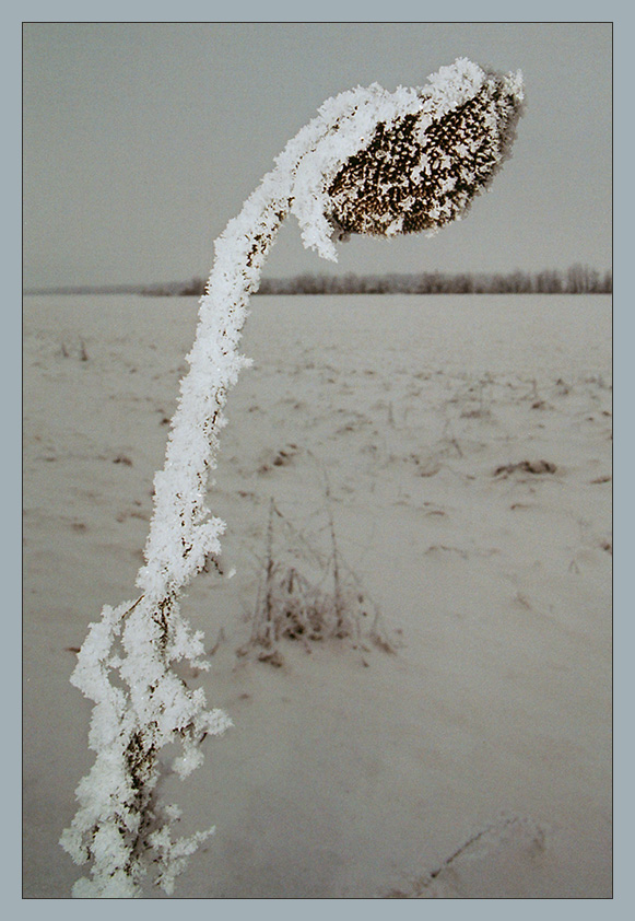 САМУРАЙ