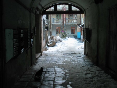 Одесский двор