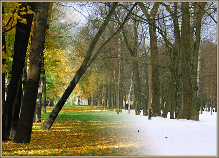 Зимняя дорога в осень.