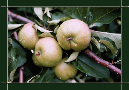 после дождя