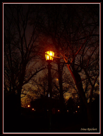 Light
