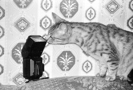 А что это такое?