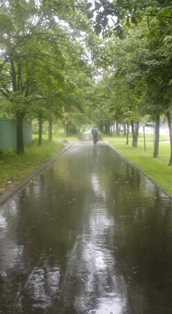 после дождя