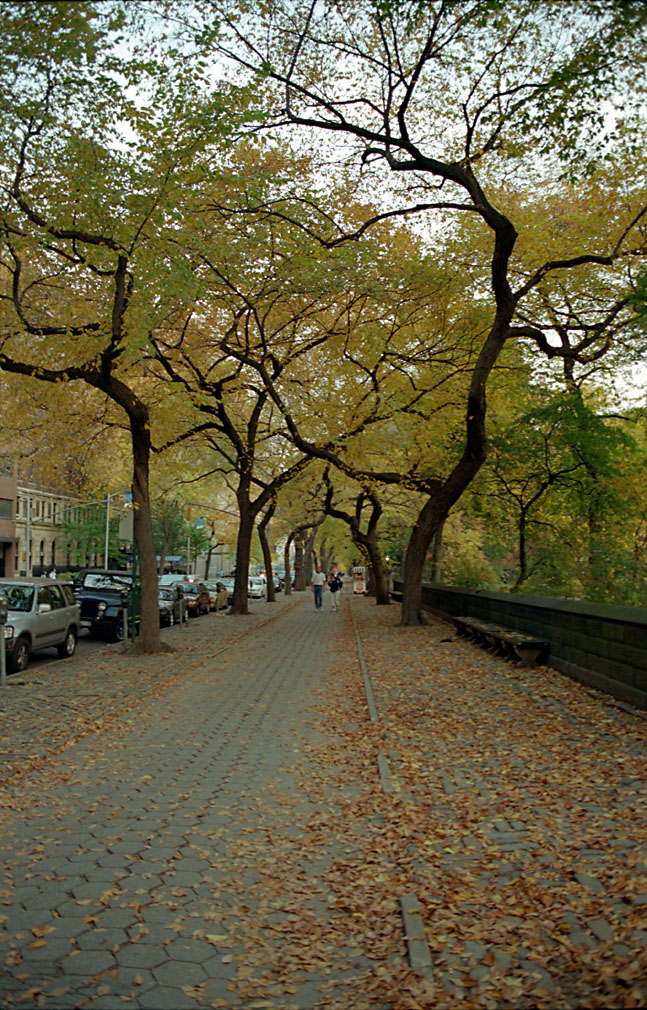 New York. Central Park. Осень