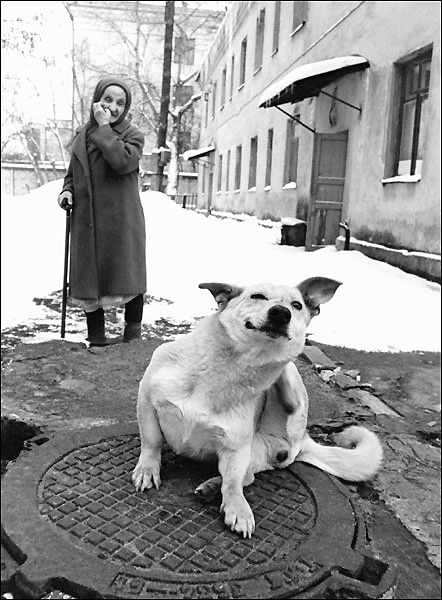 Чесотка