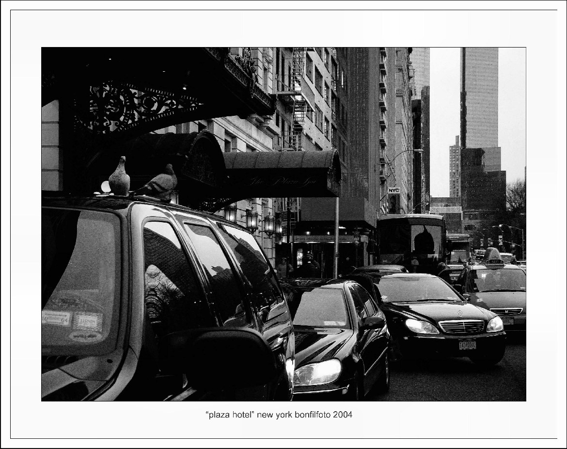 &quot;PLAZA&quot; /new york/