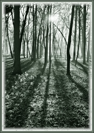 Оно нашло тебя...