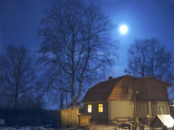 Ромашки