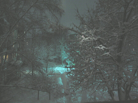 Зимняя ночь во дворе