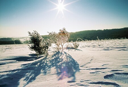 кадр 02 &quot;Красноярское Загорье&quot;