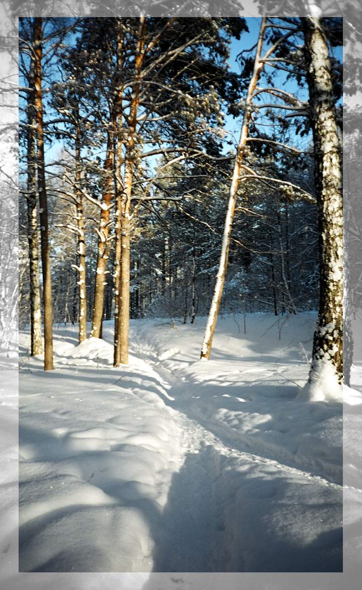 Зимняя открытка