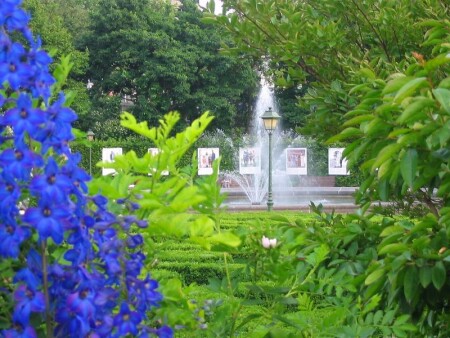 Зеленый уголок