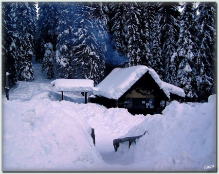 Домик в альпах