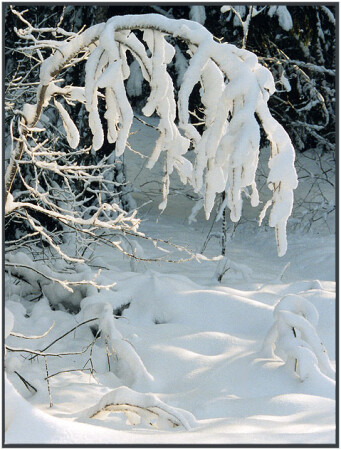 Зимние узоры