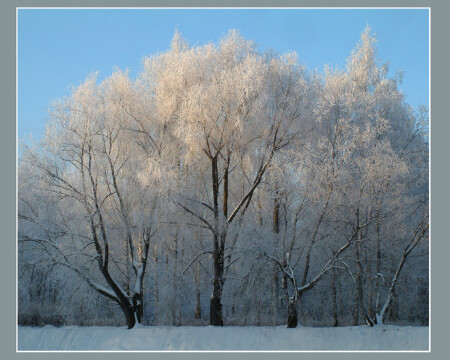 Снежное покрывало