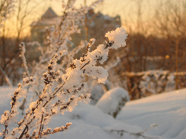 утренняя