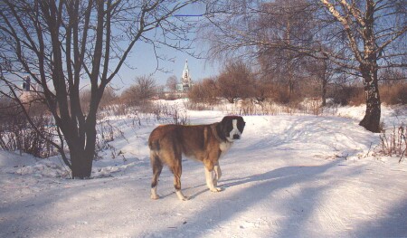 Крылатское