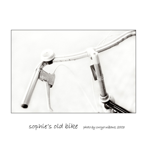 sophie's old bike