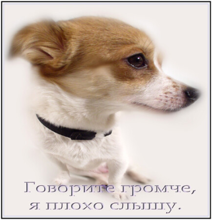 : :