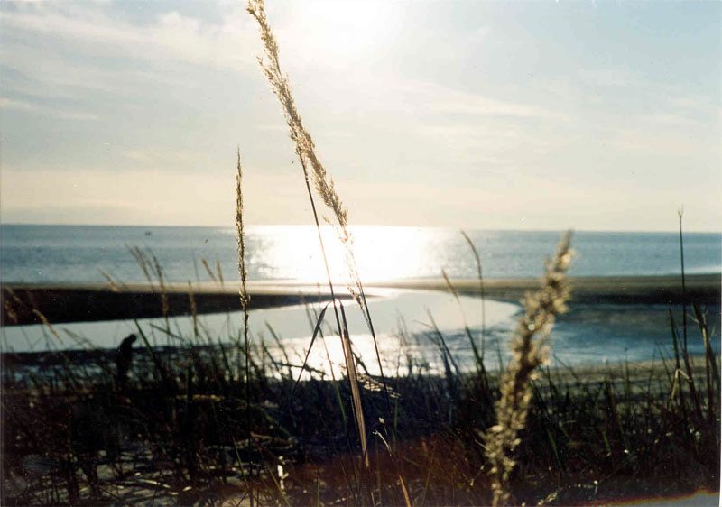 Белое море